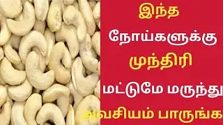 முந்திரி பருப்பு மருத்துவ பயன்கள்/Top 10 Health Benefits of Cashew Nut in Tamil/Muntiri/Cashew Nut