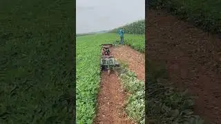 Intelligent peanut harvesting machine- Good tools and machinery can increase work efficiency