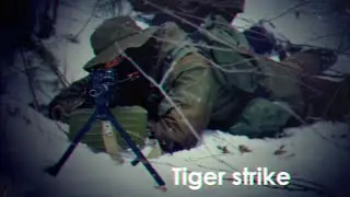 Tiger strike