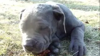 M4H01859.MP4