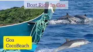 [9] Boat Ride To Dolphin Site | Goa Coco Beach | Goa-Trip