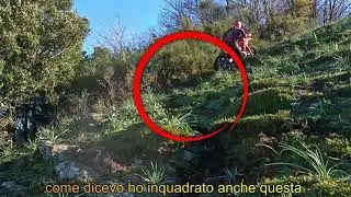 EX Uomo Beta
