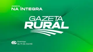 TV Gazeta: assista ao Gazeta Rural com Amorim Neto - 01/02/2026
