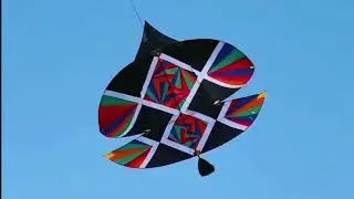 Kite flying 2025🔥🪁 lohri vlog 😍#patang #patangbazi #patanglovers #viral #kite #kitefestival #shorts