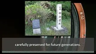 Muramasa Swords