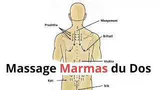 Comment effectuer un massage marmas du dos ?