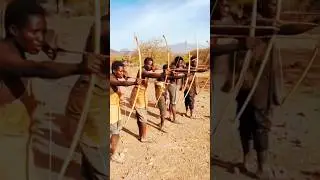 They Outpaced the Moment&hellip; One River, Endless Action | Bush Awareness! | पल भर का फैसला
