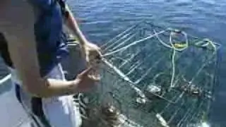 Sportfishing B.C with Dan And Jake! Eposiode 2-Part 2