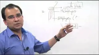 Dr. Bhatia Medical Institute:- (Satellite Classes Anatomy Part - 6)