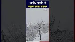 ਪਹਾੜਾਂ 'ਚ Snowfall ਦਾ ਖੂਬਸੂਰਤ ਨਜ਼ਾਰਾ, ਵੀਡੀਓ ਦੇਖ ਖਿੜ ਜਾਏਗਾ ਚਿਹਰਾ
