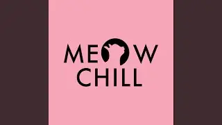 Meow chill