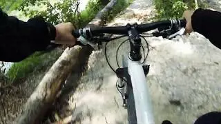 One beautiful part of the isartrails Munich. MTB M&uuml;nchen