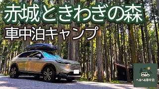 【赤城ときわぎの森キャンプ場】猛暑でも森林サイトで車中泊キャンプを楽しむ!!かき氷に焼肉!!生ビール飲んだら酔いと熱中症でダウン!?