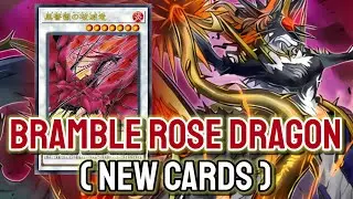 New Rose Dragon !!🔥 YGOPRO - Bramble Rose Dragon | Black Rose Dragon ft.Azamina Aug.2025 | New Cards