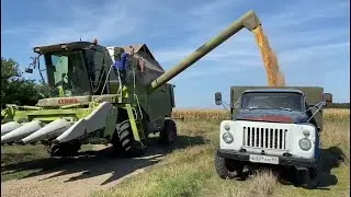 Уборка кукурузы. Газ 53 лучшая машина.