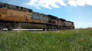 Long southbound UP train with Government of Canada grain hoppers on the Spine Line