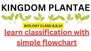 Classification of Plants | Class 8 | Class 9| Class 10| Science | MH Board | CBSE | FLOWCHART
