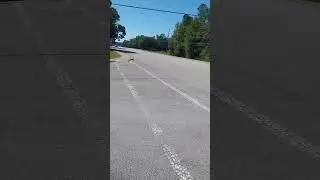 trash pick up