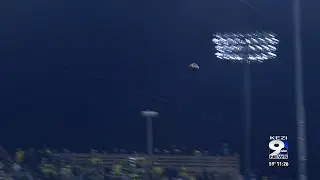 University of Oregon Ducks preparing for their biggest game of the season.