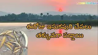 fishing videos మా జాలరుల జీవన విధానం🐟🐠||#fish #gillnetfishing #manamlocalguru