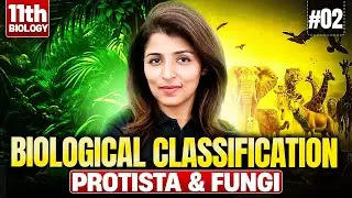 Biological Classification | Protista & Fungi | Part - 2 | Class 11 Biology 🔥