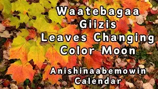 Leaves Changing Color Moon Anishinaabemowin Calendar - September 2024 - Bay Mills Language & Culture