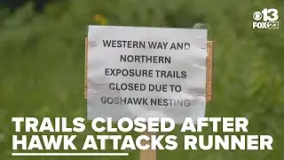 Hawk attack leads to closure of 2 walking trails in Augusta