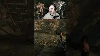 Fallout NPC's are so unpredictable!!! | clunckus on #Twitch
