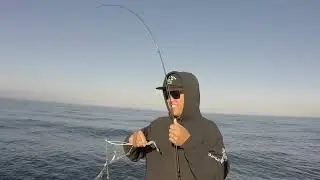 Fishing La Jolla in Early Spring for Calico Bass and Sand Bass