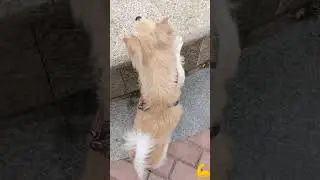 Marking territory