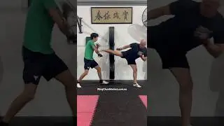 Explosive Wing Chun Combo #shorts #martialarts #kungfu #mma #selfdefense #kickboxing