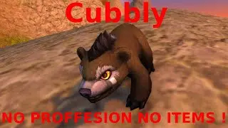 Cubbly - pet - wow dragonflight - NO PROFFESION NO ITEMS ! EASY !