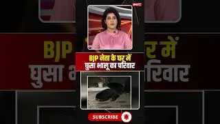 कांकेर में BJP नेता के घर में घुसा भालू का परिवार। #bearviralvideo #kanker #cgviralvideo #shorts