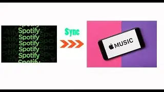 Sync Spotify to  Apple Music with AudFree Spotify Music Converter!