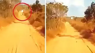 The Footage Of A UFO Trying To Abduct A Cow | Abduction Of A Calf By UFO | UFO Sightings
