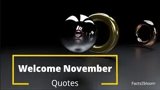 Welcome November - Quotes