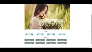 C&oacute;mo aplicar filtros y efectos online a tus fotos
