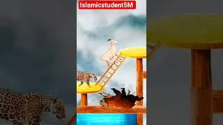 😱 OMG Funny animal | power of Allah|Allah ki taqat❤️💖 #allah #love #funnymoment #sadanimalfacts