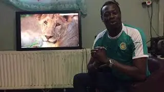 Guy artiste parle aux lions