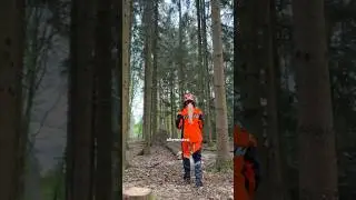 Ich habe meinen Motors&auml;genschein gemacht. 🪚🌳#wald #forst #forstwirtschaft #chainsaw