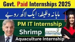 Paid Internships in Pakistan 2025 | PM IT Internship Program 2025 | Shrimp Aquaculture Internship