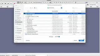 The first WebAssembly Music stored on NEAR blockchain as NFT