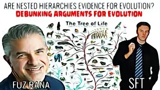 Nested Hierarchies: Best Explained by Descent or Design? | Refuting Universal Common Ancestry