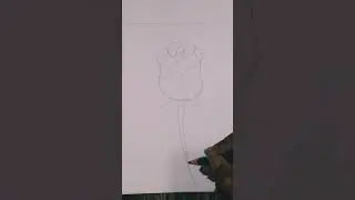 How to draw Rose🌹/ step by step #art #shorts #flower #sketch #drawing