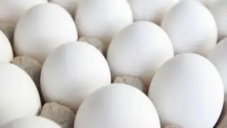 5 nutrition myths busted