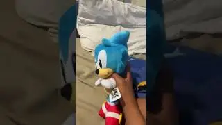 Sonic&rsquo;s taste test
