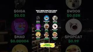 Which Memecoin? #investment #money #trading #trader #memecoin #memecoins #crypto #investor