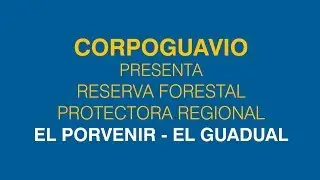 RESERVA FORESTAL PROTECTORA REGIONAL EL PORVENIR - EL GUADUAL