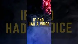 If FND Could Speak: The Voice of Functional Neurological Disorder