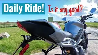 Triumph Street Triple RS | Daily Machine!